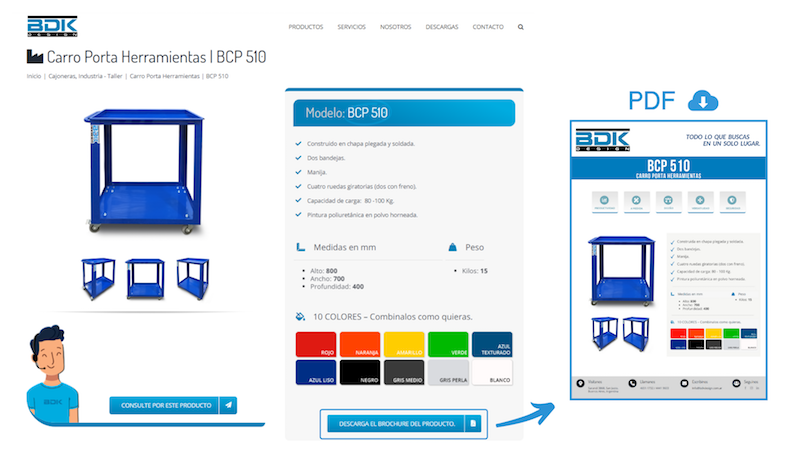 Institucional BDK: Nueva Pagina WEB