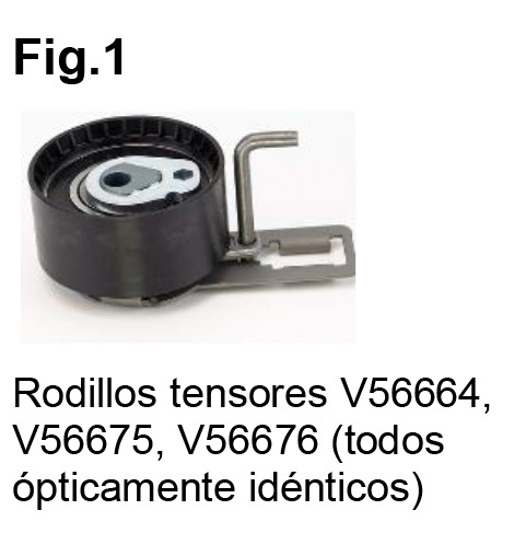 Pagano, descripción de producto Continental