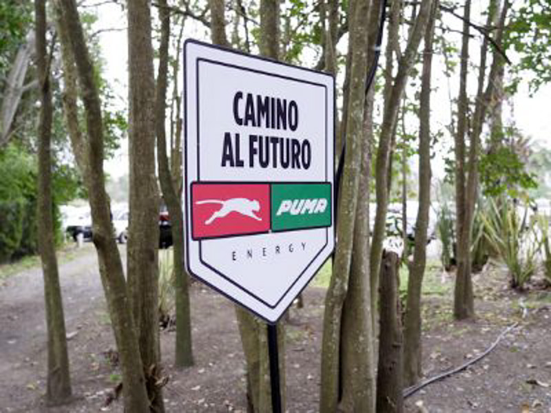“Camino al futuro”