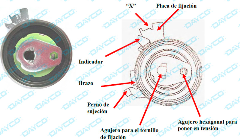 Dayco Kit de distribución KTB 221