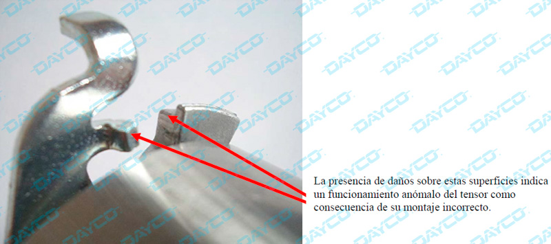 Dayco Kit de distribución KTB 221