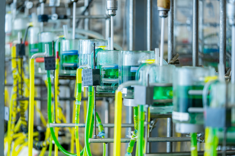 Centro de reciclaje de baterías de vehículos eléctricos