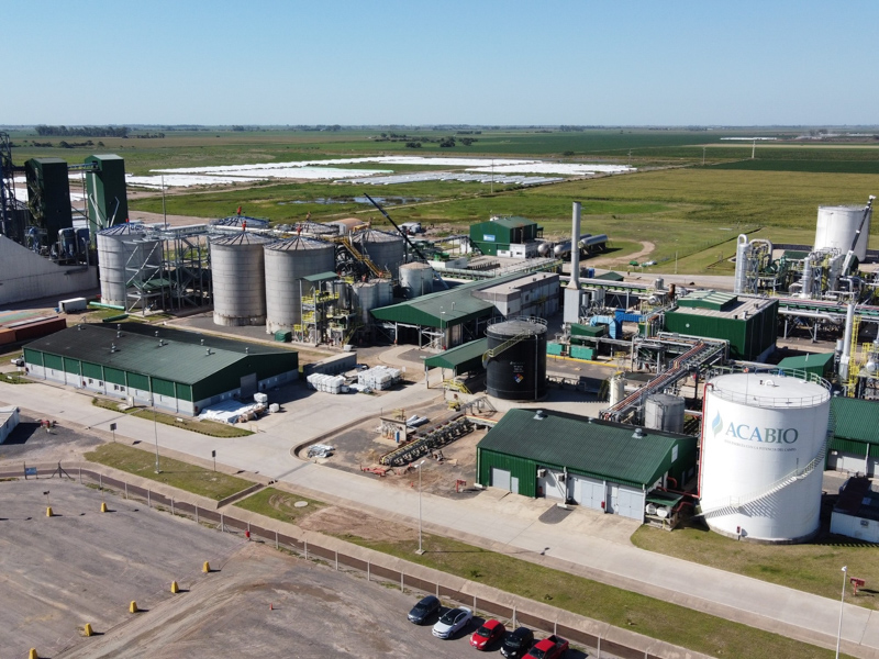 Biocombustibles: la estrategia económica para el agro