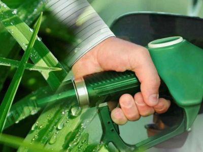 Biocombustibles: la estrategia económica para el agro