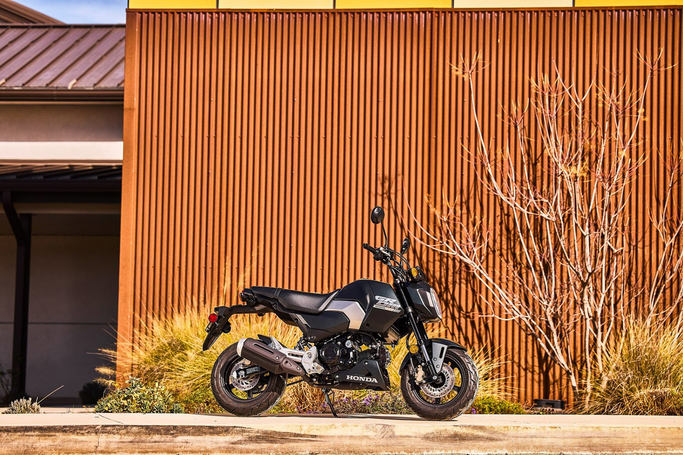 La Honda MSX125 Grom 2025 llega a Europa