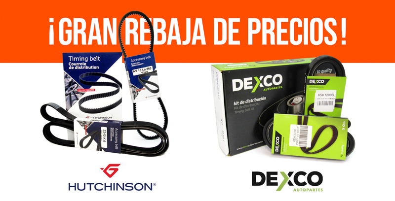 Descripción de producto Alfa Rodamientos: Correa Poly-v