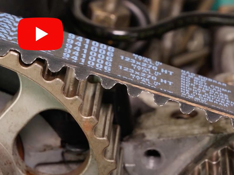 Taller Actual TV · 14 de noviembre 2024