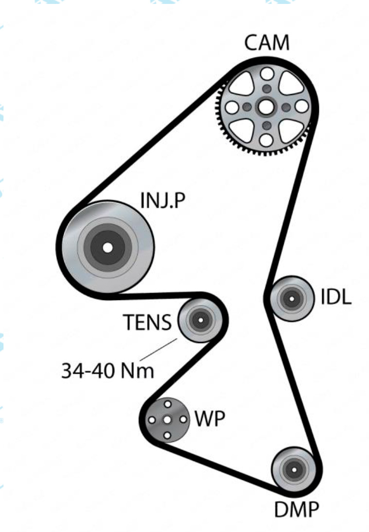 Dayco Kit de distribución KTB959