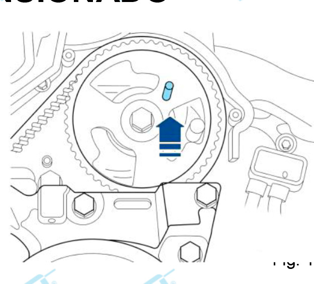 Dayco Kit de distribución KTB959