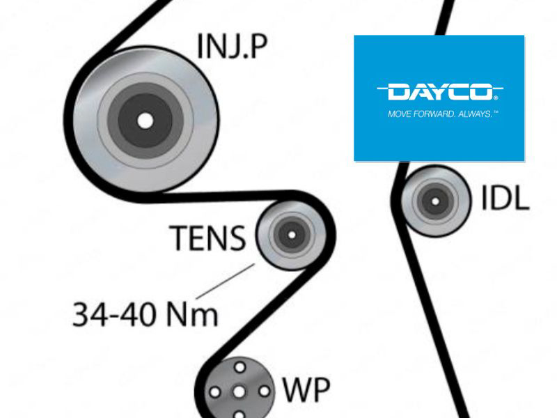 Dayco Kit de distribución KTB959