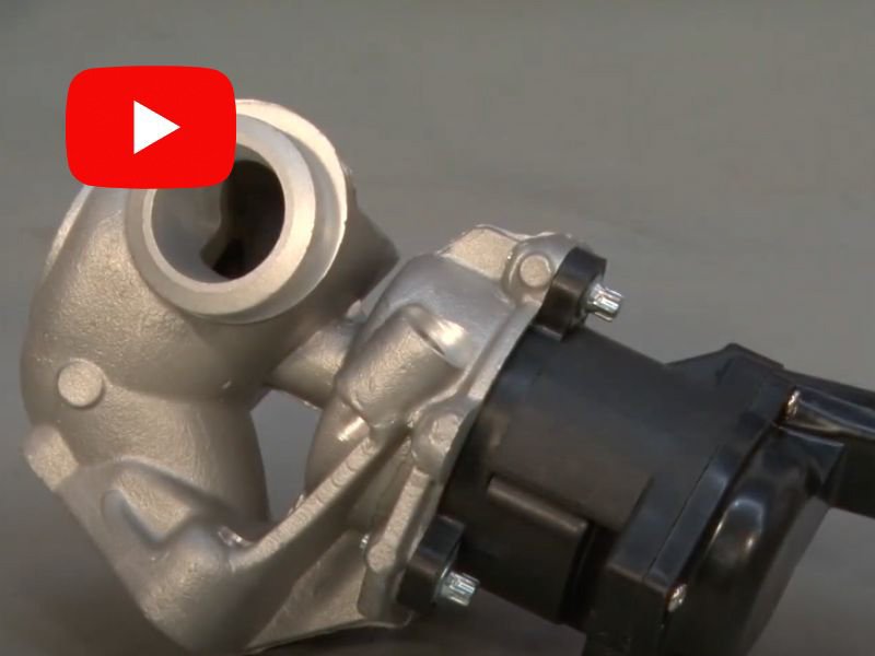 Taller Actual TV · 02 de enero 2025