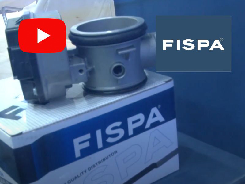 Fispa: Balance del 2024 y Novedades de la Empresa