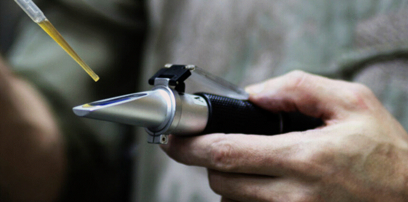 Nexus: La importancia del refrigerante de calidad