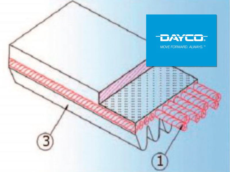 Dayco: Correas Poly V para comando de accesorios