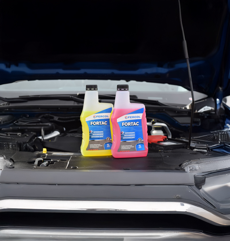 Fercol: El cuidado del motor en invierno