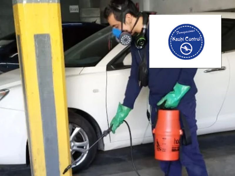 Kashi Control: Fumigación y Desinfección 24 Horas