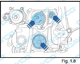 Dayco: Kit de distribución KBIO14
