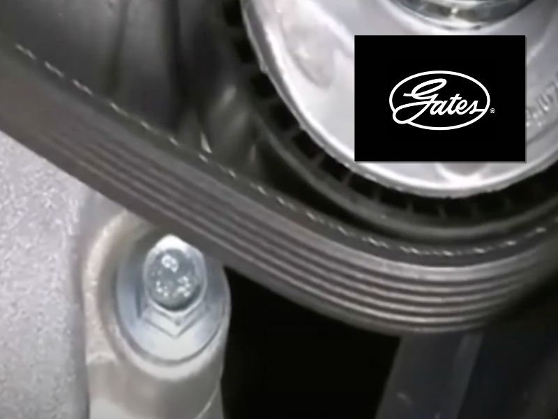 Instructivo Gates: Características de las Correas Micro-V