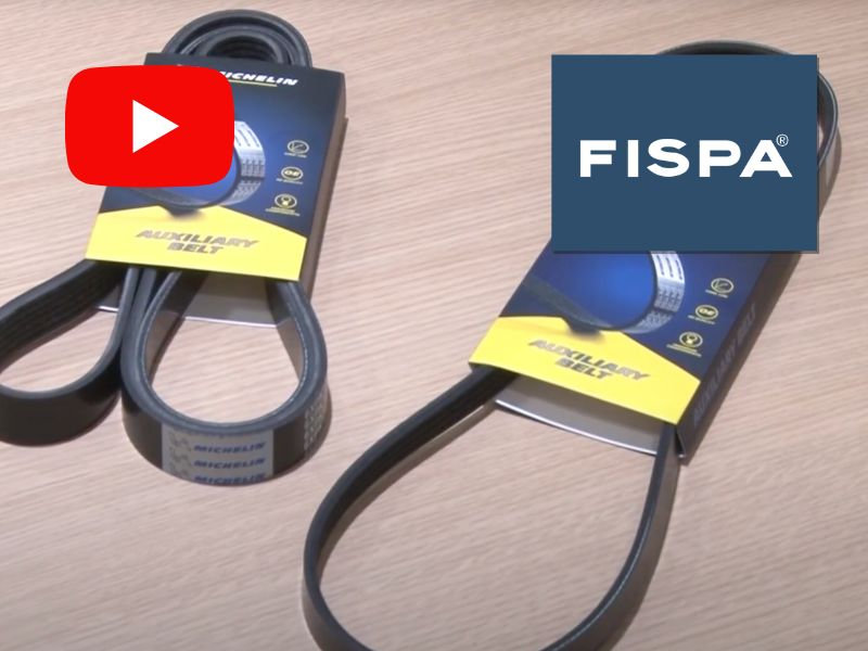 Fispa: Correas Poly V Michelin