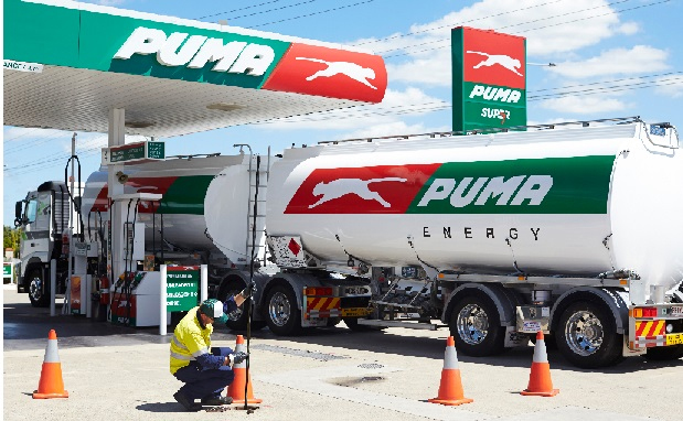 est-50-empresa-holandesa-estudia-relanzar-la-nafta-puma-en-el-mercado-argentino-01