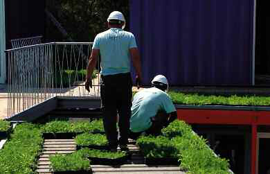 est-47-un-jardin-en-el-techo-de-su-estacion-de-servicio-02