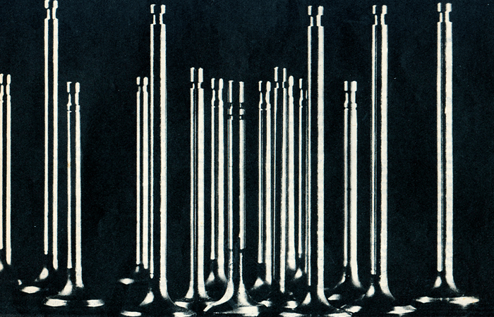 los-componentes-de-la-distribucion-2-006